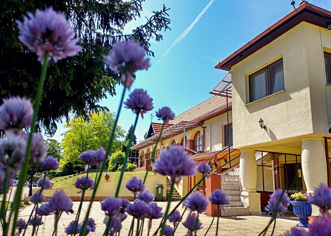 Villa Teleki Ngoại thất bức ảnh